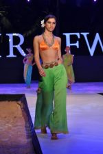 Model walk the ramp for Anupama Dayal Show at IRFW 2012 Day 1 in Goa on 28th Nov 2012 (78).JPG